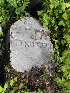 �����-������ ��������